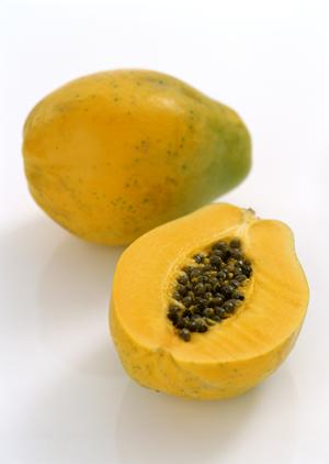 理想的な体型を手に入れる！新感覚ダイエット合宿の魅力と効果を徹底解説