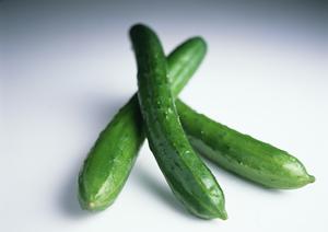 2025年最新版：六本木で見つける魅力的なカフェベストガイド