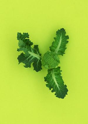 新宿の牡蠣とイタリアンを楽しめるオイスターバー「ジャックポット新宿」：絶品料理と充実のラインナップ